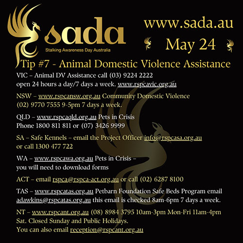 Animal Domestic Violence Assistance