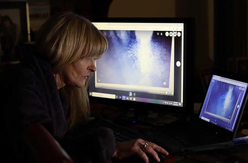 Di McDonald watches a computer screen